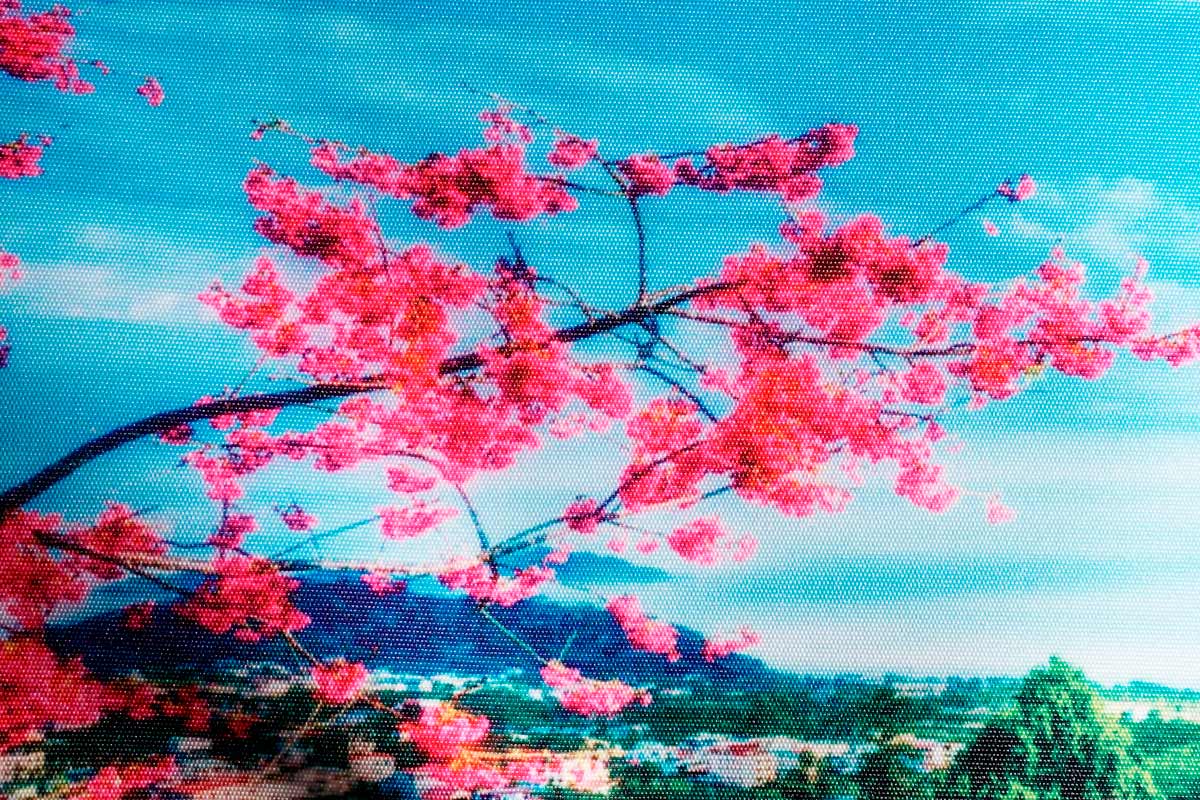 Макро-фото Декотекса.