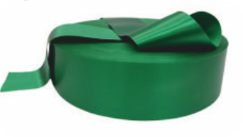 Папоротник 348C