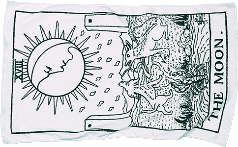 Кухонное полотенце с печатью из Nano Faber 30х50 см.