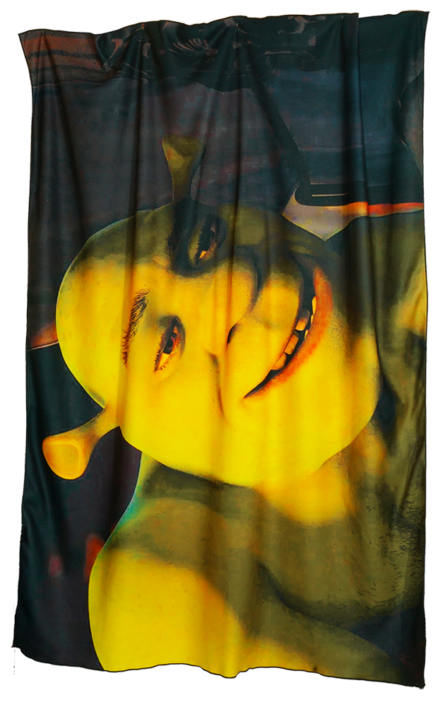 Штора из габардина с полноцветной печатью