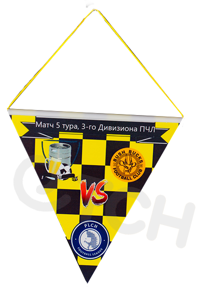 Картонный, ламинированный вымпел